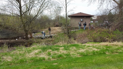 Winton Rain Garden (16)